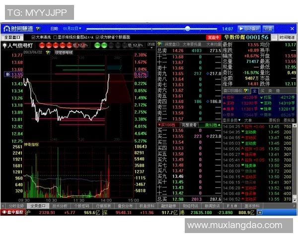 南京网球队引领最新网球意识前十强榜单全景解析